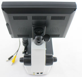 Mikrosirkulasi Profesional / Mikroskop Kapiler Berfuku Kuku dengan Kamera Video CCD